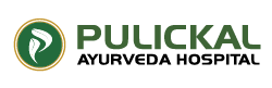 Pulikkkal